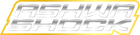 ashwashock